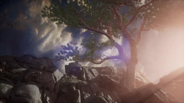 Beautiful View Above Cloudscape and Mountains alt