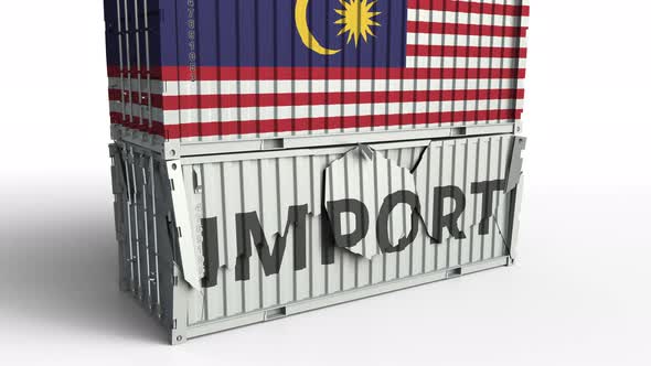 Container with Flag of Malaysia Breaks Container with IMPORT Text