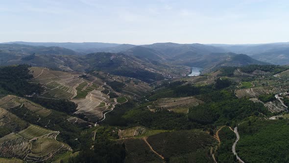 Douro River with Green Hills Covered Vineyards of Peso Da Regua Vila Real