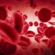 Red blood cells in an artery. Dark. 2 videos in 1 file. Red blood cells. - VideoHive Item for Sale