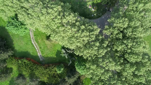 Aerial Green Dirt Road