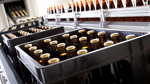 Plastic crates full of freshly brewed beer bottles on a factory pipeline. 4KHD