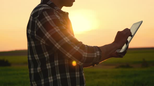Close Up Of Farmer Using Digital Tablet On Organic Farm at Sunset