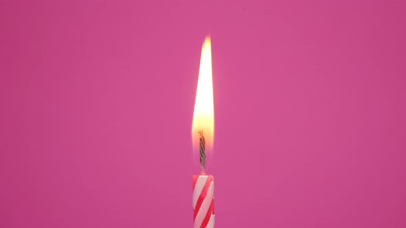 Birthday Cupcake with Candles and Birthday Decorations on Pink Background