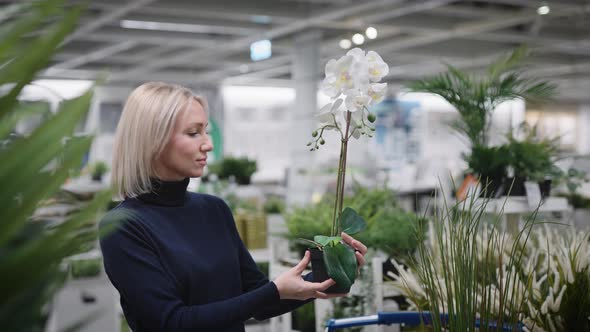 A Woman Chooses an Orchid for Home Gardening