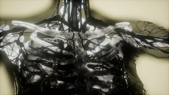 Human Skeleton Bones Scan Glowing alt