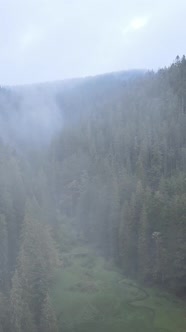 Vertical Video of Fog in the Mountains