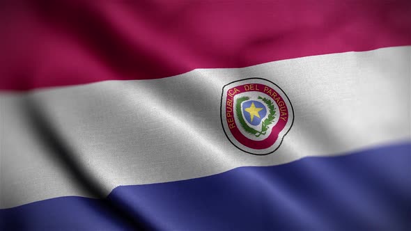 Paraguay Flag Textured Waving Close Up Background HD