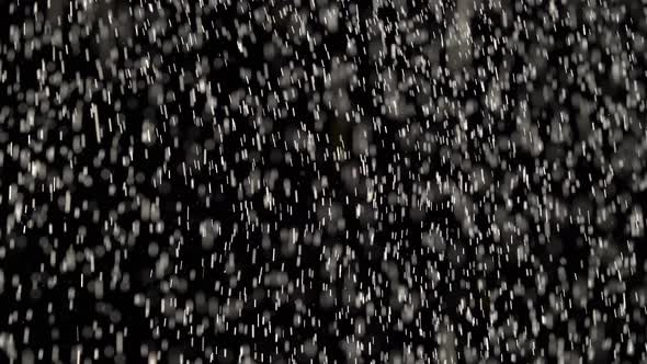 Floating Organic Flecks of Dust Are Shimmering on Black Background