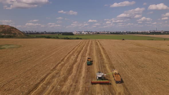 Combine Harvester Working In The Field.