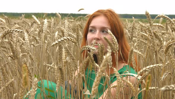 Walk on Wheat Field