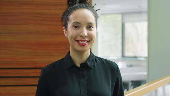 Portrait of Cheerful Mixed Race Businesswoman