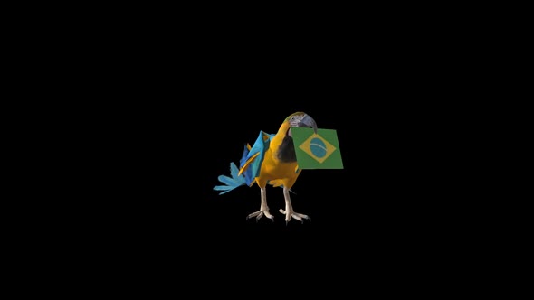 Parrot Carrying Flag- Brazil