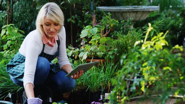 Mature woman using digital tablet while working