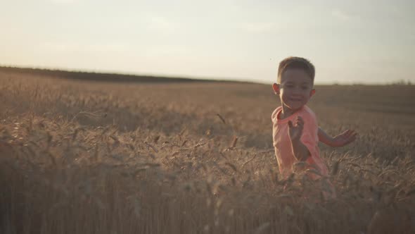 A Baby Boy is Running on a Beautiful Agro Field of Wheat