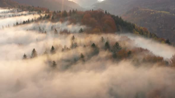 Foggy Morning Mountains 6