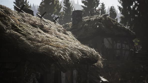 Old Retro Village in Pine Forest alt