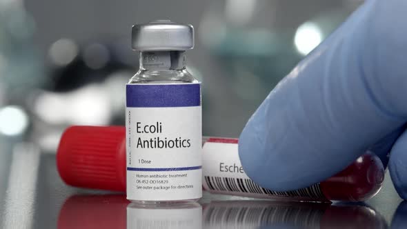 E.coli antibiotics and antibodies in medical lab