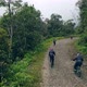 Drone Following Bikers Hits the Tree and Crashes to the Ground Shaking, Road of Death, Bolivia - VideoHive Item for Sale