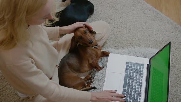 Woman Using Laptop and Having Good Time with Pet in Apartment Room Rbbro