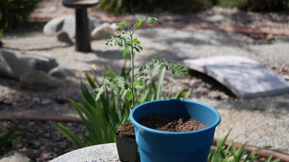 Close up of a woman gardener using a hand trowel to scoop fresh soil and fertilizer into a pot for a