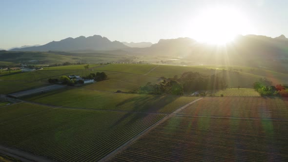 Rainbow sunrise sun rays over winelands vineyards  farm, aerial, Stellenbosch