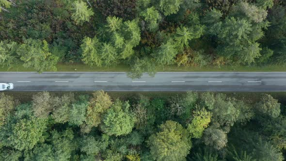 A white colored caravan is driving at a road leading from left to the right in a fall season forest