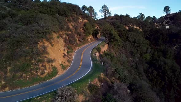 Tree Tunnel on Mountain Road along Steep Cliff at Dawn, Drone Dolly In