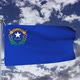 Nevada Flag Waving - VideoHive Item for Sale