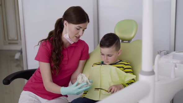 Dentist Shows a Boy How to Brush Teeth Rightly Using Toothbrush and Jaw Layout