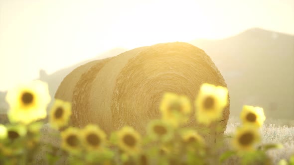 Hay Bales in the Sunset