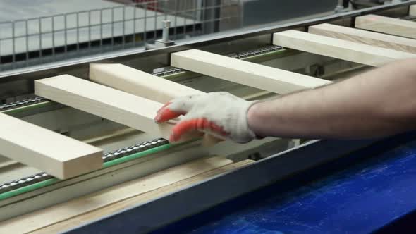 Production Line In Woodworking Factory