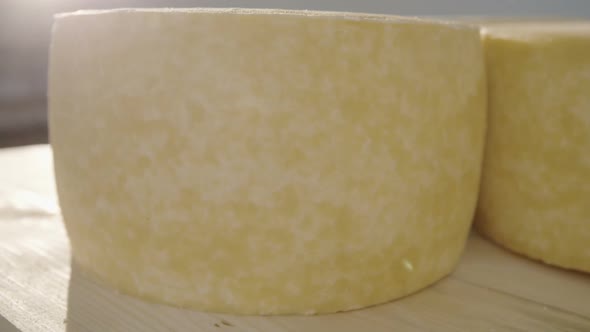 Round Cheese Matures in the Cellar for Deoevyaniy Board
