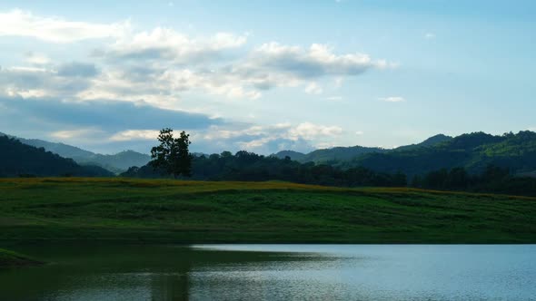 Lonely tree with cloud time lapse footage.