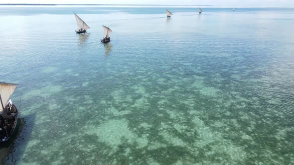 Boats in the Ocean Near the Coast of Zanzibar Tanzania