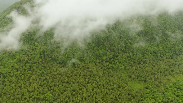 Mountains Covered with Rainforest, Philippines, Siargao