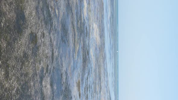 Vertical Video of Low Tide in the Ocean Near the Coast of Zanzibar Tanzania Aerial View