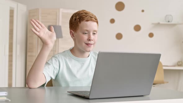 Teenager Having Online Lesson