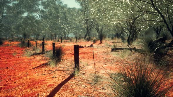 Old Rusted Small Farm Fence