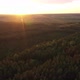 Flying Above Green Forest Sunset - VideoHive Item for Sale