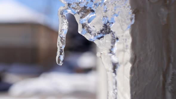 Ice Melting in Winter Macro