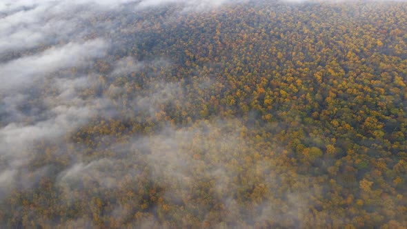 Clouds Over Colorful Autumn Forest