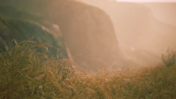 Golden Rocks and Grass in Mountains