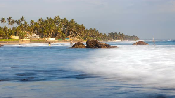 Tropical Ocean Beach with Palm Timelapse