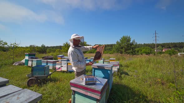 Apiculture in the countryside