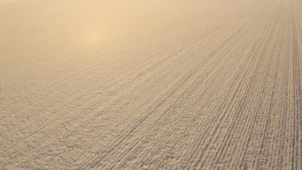 Aerial Shot of Plowed Empty Field During Winter on Sunny Day