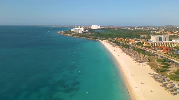 Palm Beach Aruba Amazing Tropical Beach with Palm Tree Entering the Ocean Against Azur Ocean Gold