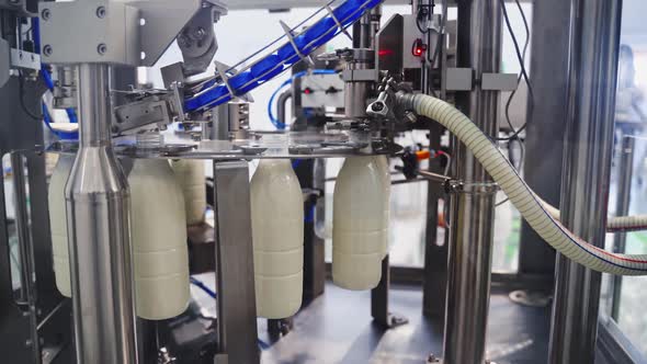 Robotic process for filling bottles with milk in a factory.