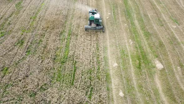 Aerial view of a green vintage combine harvester mows wheat in the field for the food industry, yell