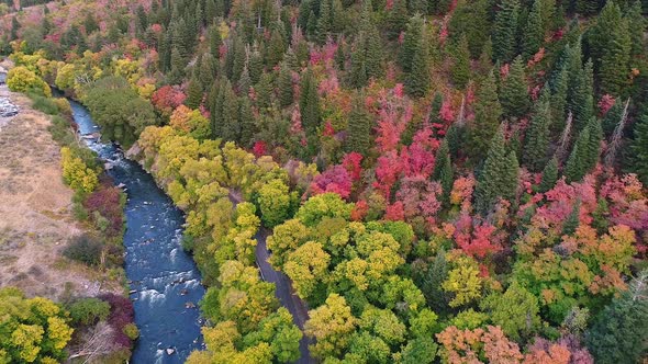 Provo Canyon in Fall colors flying backwards over Provo River